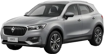BX5