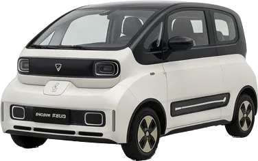 31 kWh (54 Hp) Electric