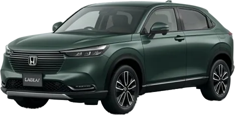 1.5 Immd