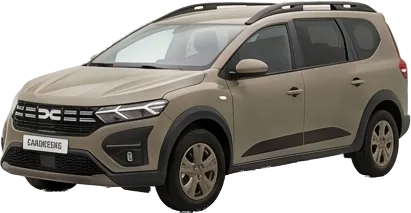 1.0 Ecog