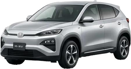 M-NV