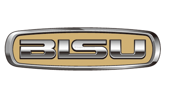 Bisu