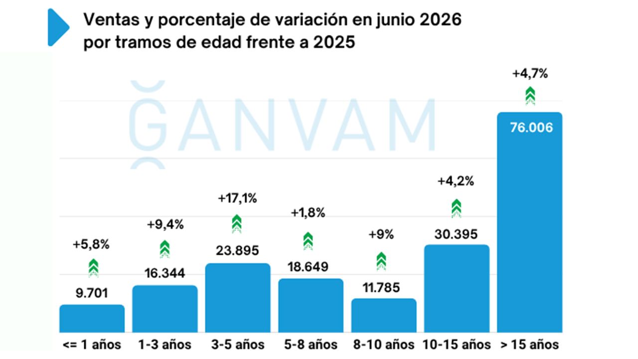 Used Car Sales in Spain Grow in June 2026 Driven by Nearly New Vehicles